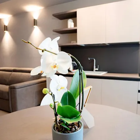 The Corner Elegant Apartman Bergamo