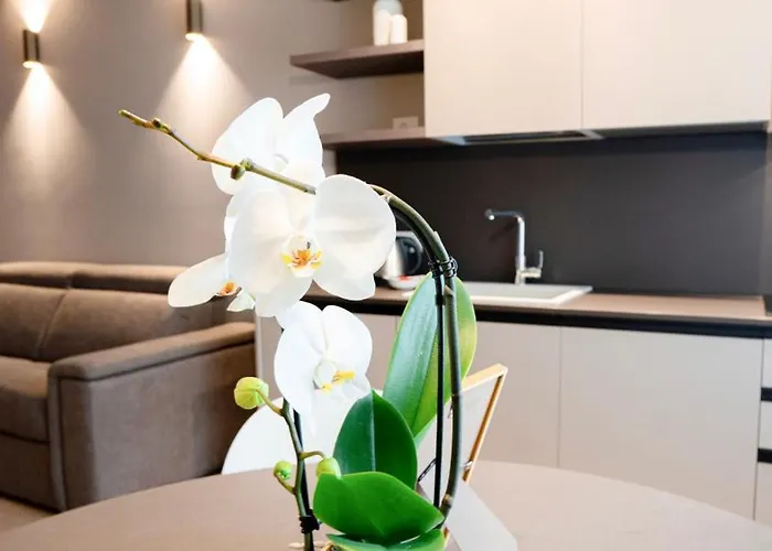 The Corner Elegant 公寓 贝尔加莫